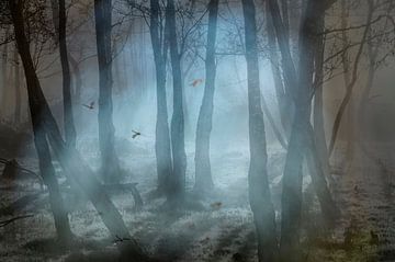 Mystic forest (mooie fotobewerking van een mysterieus bos met vliegende muggen) van Birgitte Bergman
