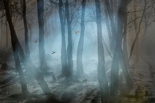Mystic forest (mooie fotobewerking van een mysterieus bos met vliegende muggen)