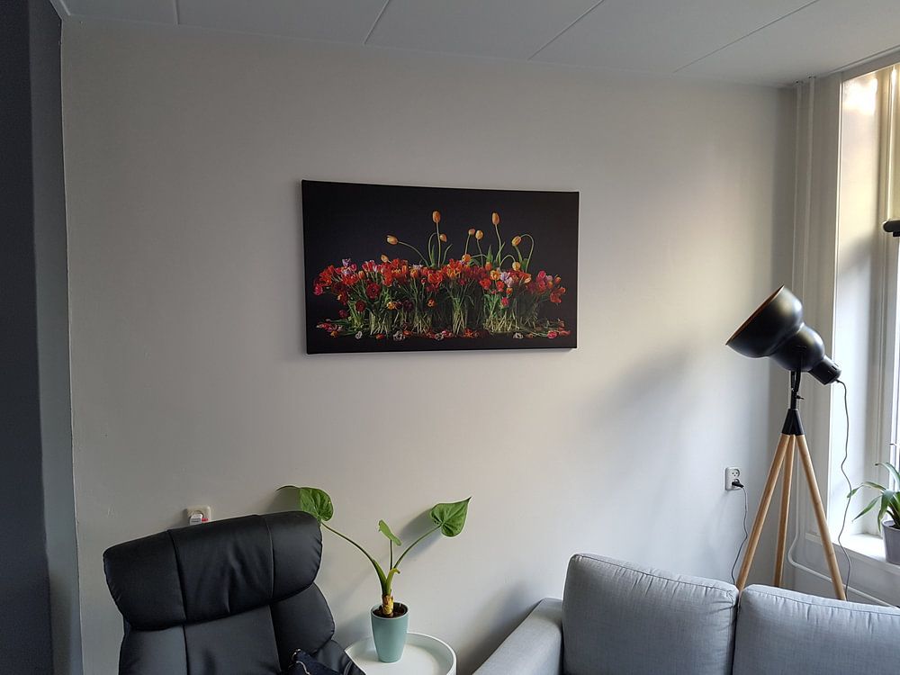 Tulipes des Pays-Bas  par Dirk Verwoerd 