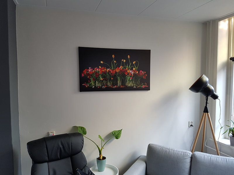 Kundenfoto: Tulpen aus Holland von Dirk Verwoerd