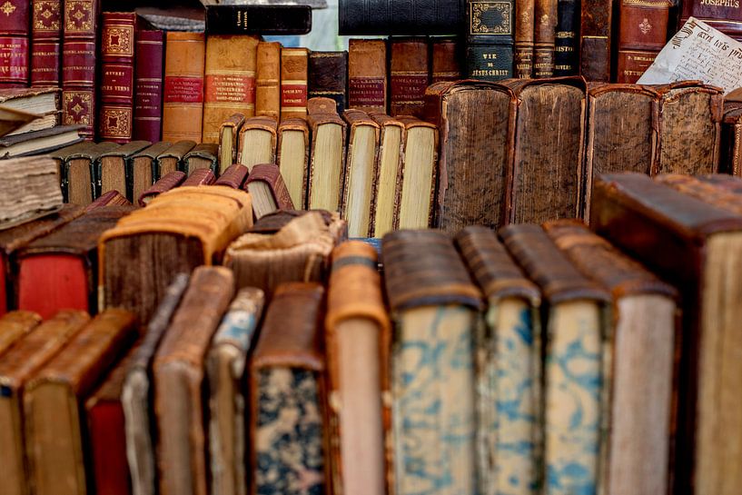 Struinen tussen oude boeken van Blond Beeld