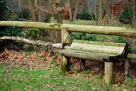Wooden bench in forest by T. Berrevoet