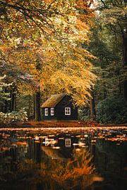 Royal Autumn by Marleen Kuijpers @themissmarple