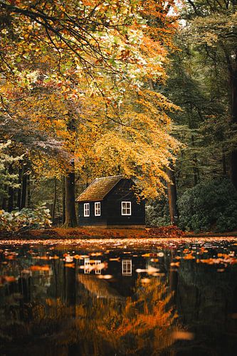 Royal Autumn by Marleen Kuijpers @themissmarple