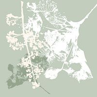 Plantencollage: De kunst van de natuur