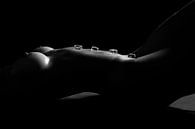 Bloot vrouwenlichaam bedekt met ijsblokjes - Erotische foto van Retinas Fotografie thumbnail
