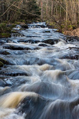 Sweden landscape 106