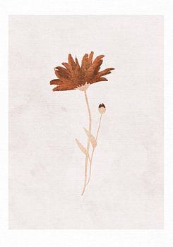 Feldblume