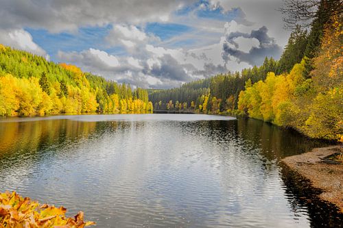 Herfstkleuren aan het meer van Jan Jansen Natuurfotografie