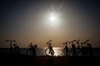 Fietsvakantie aan zee