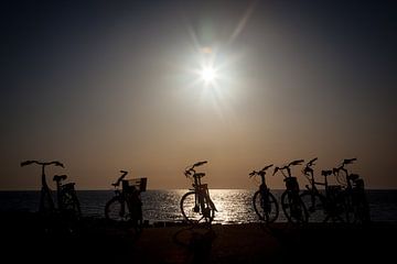 Fietsvakantie aan zee van Arjan Vrieze