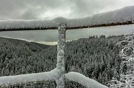 Winter Landschaften von Johnny Flash Miniaturansicht