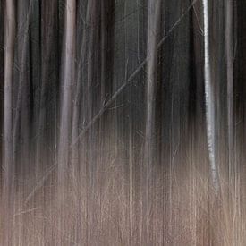 Mouvement abstrait dans la forêt sur Silvia Thiel