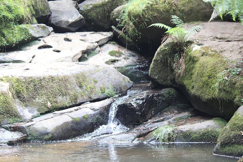 close up waterval par Julia Wendelaar