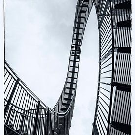 Rollercoaster (Tiger & Turtle) van Marjan van der Heijden