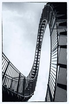 Rollercoaster (Tiger & Turtle) by Marjan van der Heijden