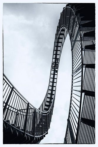 Rollercoaster (Tiger & Turtle)