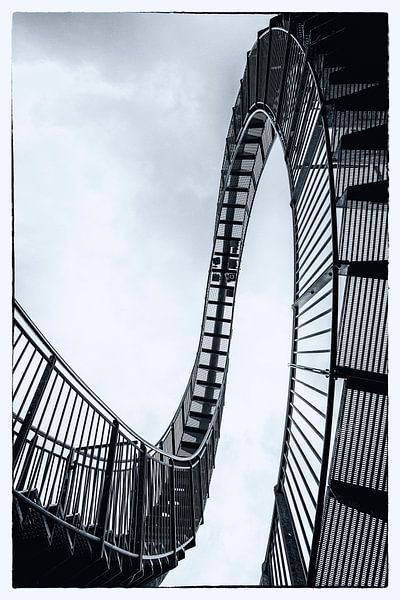 Rollercoaster (Tiger &amp; Turtle) by Marjan van der Heijden