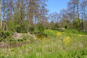 Wanderweg durch den Aalkeetbuitenpolder (Vlaardingen)
