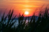 Zonsopgang boven de berg van Fonyód aan het Balatonmeer in Hongarije van Daniel Pahmeier thumbnail