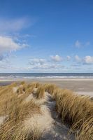 Bovenop de duinen met uitzicht op zee