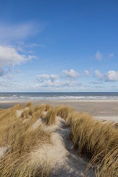 Bovenop de duinen met uitzicht op zee