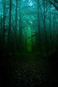 Un chemin forestier sur Pixel4ormer