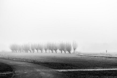De eenzame tocht by Michel Van Nederveen