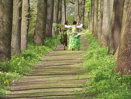 Elfjes by Sander Frankfoort