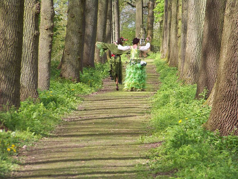 Elfjes by Sander Frankfoort