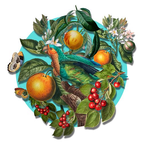 Nature's Collage by Marja van den Hurk