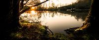 Heidebloemplas Ede