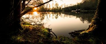 Heather flower lake Ede