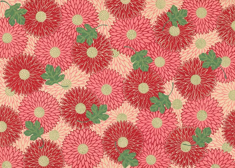 Flowers - Pink Chrysanthemums by Creativity Building