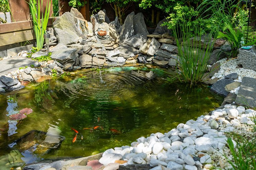 Statue de Bouddha dans une rocaille japonaise avec étang de jardin par Animaflora PicsStock