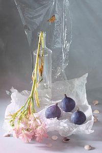 Still life ' figs in grey and pink by Willy Sengers