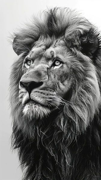 Die großen 5: Der König der Löwen von ByNoukk