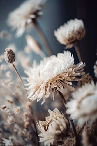 Pastel Dry Flowers No 1