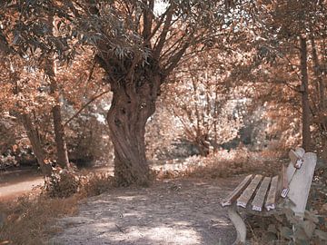Serie "Herfstsfeer in Bünde" III van Momentaufnahme | Marius Ahlers