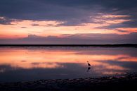 Sonnenuntergang über dem Watt bei Schiermonnikoog von Steven Boelaars Miniaturansicht