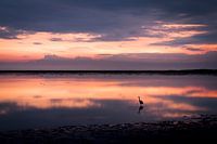 Zonsondergang over het Wad bij Schiermonnikoog