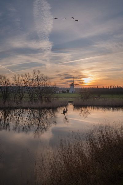 Marschmolen Lienden von Moetwil en van Dijk - Fotografie