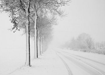 Winter in Nederland von Monica Zimmermans