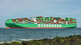 Das Containerschiff „Ever Eco“ der Reederei Evergreen Marine.