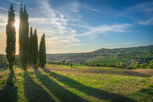 Tuscan Cypress Trees and Casale Marittimo Village View by Stefano Orazzini