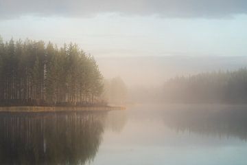 Speigelglad foggy lake by Axel Weidner