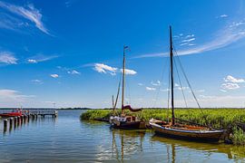 Zeesenboote in de haven van Wieck op Fischland-Darß van Rico Ködder