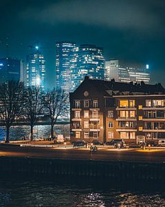 Nachtleben auf der Nordinsel