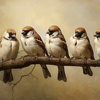 Finches