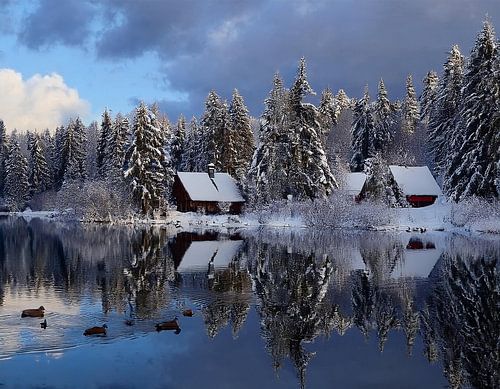 Winterreflectie op het meer